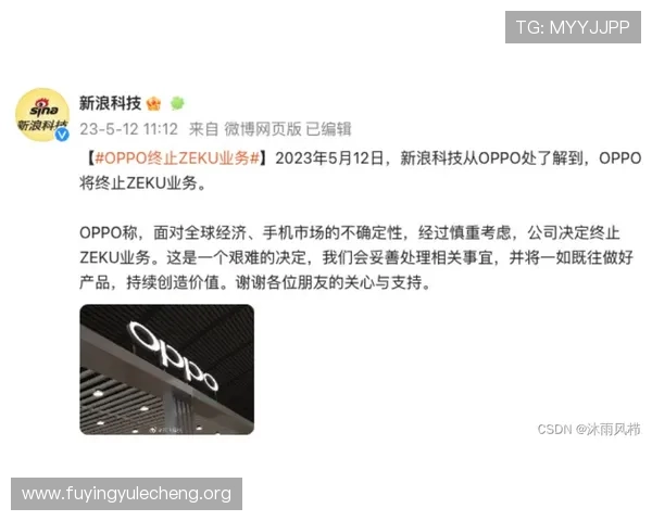 速盈官方背后的团队成立历程与行业影响力探讨